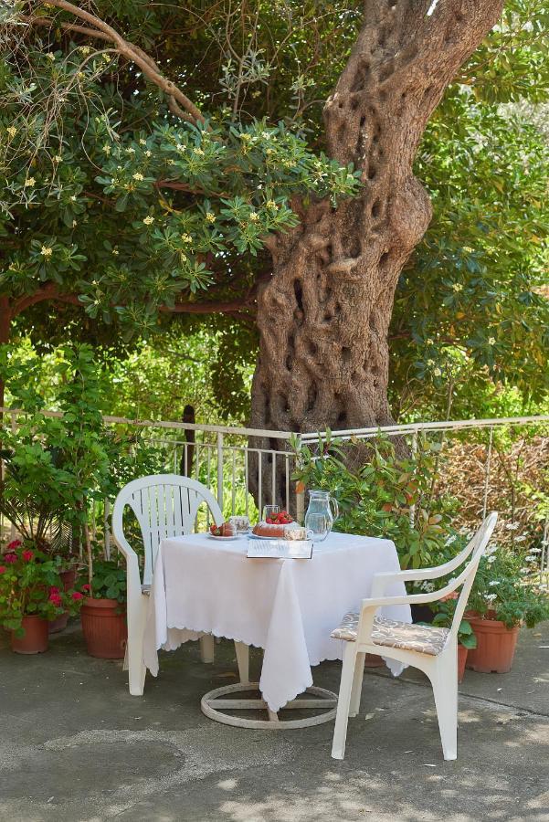 Apartmani Kuca U Maslinama Sveti Stefan Exterior foto